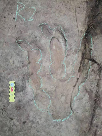 研究员等人前往百花镇野鸡坡现场考察，证实发现侏罗纪晚期恐龙脚印化石。（网图）