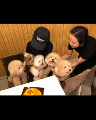 蔡卓妍家中饲养了5只狗狗。