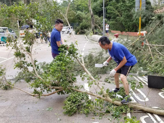 劉國勳(藍衣)今早與一班熱心的義工市民，落區自發清理樹木。 劉國勳facebook