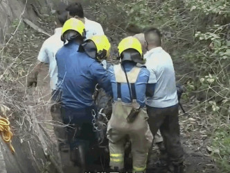 消防及渔护署10多人合力用绳网将小黄牛救回地面。有线截图