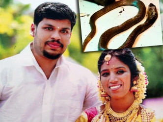 印度男子库玛(左)两度以毒蛇杀害妻子(右)，被判两次无期徒刑。网图