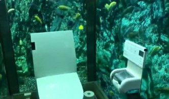 水族馆厕所里面的鱼数量粗略估计约有300多只。twitter