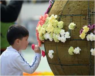 过千学童在170名绿化义工的指导下将各种花卉镶嵌到花坛中。