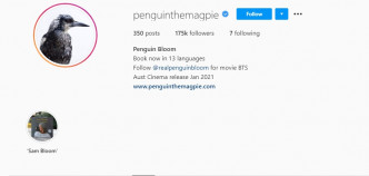 攝影師Cameron Bloom為Penguin開設了IG帳戶，粉絲人數高達17萬。