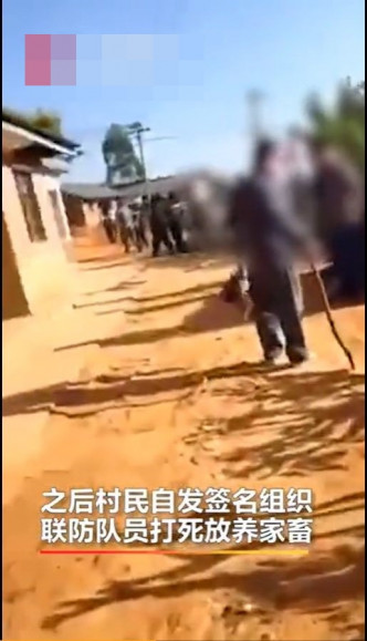 有网民指，云南普洱澜沧县为了迎合上级检查，打死居民放养的家禽。网图