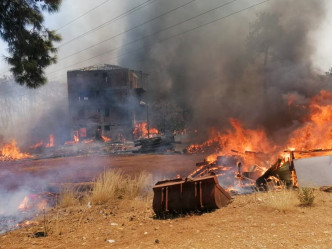 有民居在山林大火中被烧毁。AP图