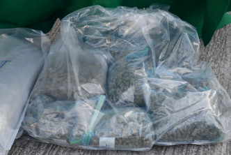 海關檢獲的大麻，市值約1200萬元。