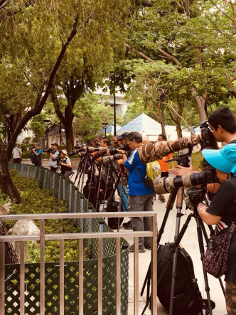 柴灣公園有大批「龍友」出沒。 柴灣人柴灣事FB/網民Keung Peony‎圖