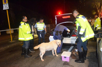 警犬协助搜车。