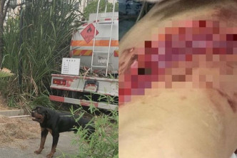 洛威拿犬被綁在油罐車。 網圖