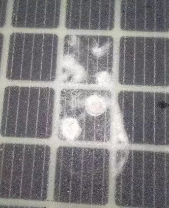 太陽能板遭破壞 。網上圖片