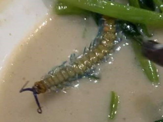 蜈蚣疑混在通菜中被一併煮熟。香港車仔麵關注組facebook群組圖片
