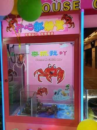 店家將生蟹放進夾公仔機，讓食客體驗夾螃蟹的樂趣。網上圖片