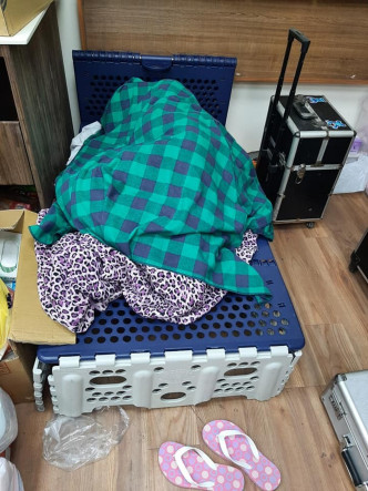 修复师日以继夜工作，累了用塑胶板拼成床铺席地而睡。fb