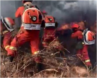 當局已出動1600名森林消防員趕赴撲救。