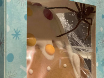 澳洲母亲买姜饼屋时惊觉一只大蜘蛛在内筑巢。网图