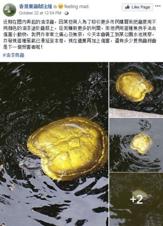 关注组在facebook专页发帖痛斥事件。香港弃龟关注组fb