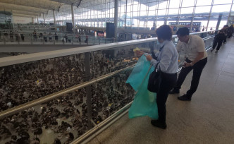 机场职员清理通往离境大堂通道上的标贴时，遭集会人士喝倒彩。