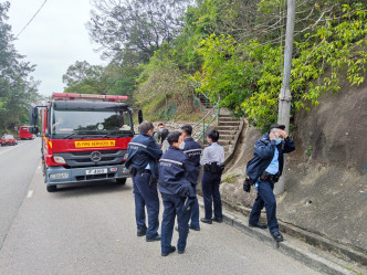 消防飛行服務隊民安隊及消防繼續搜索。梁國峰攝