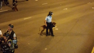 警方出动警犬