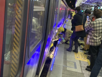 东铁綫九龙塘站女子堕轨，遭列车辗断双脚。网民长脚哥基图片