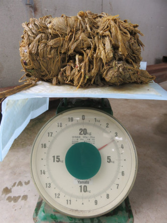 一只奈良鹿的胃中竟有重达3.2公斤的塑胶袋。网图