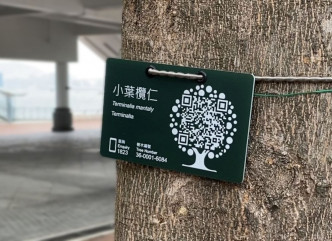 市民扫描「树牌」上的二维条码，便可获取更详尽资讯。