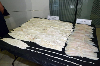 部分檢獲的鮮石首魚魚肚，與不受管制的急凍魚柳混雜一起。