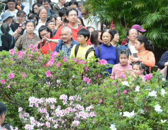 市民在礼宾府内赏花。