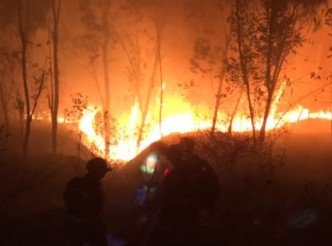 西昌市爆發森林山火。網圖