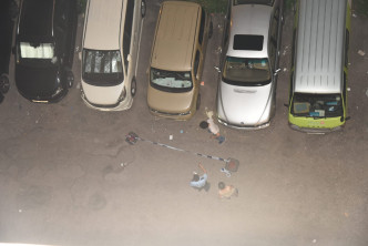 21岁男子伏尸停车场。