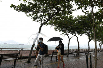本港风雨未算太强劲。