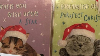 女孩於超市購買慈善聖誕卡後發現裡面藏有求救字句。網上圖片