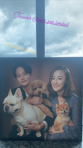 上月谢东闵在社交平台大晒与朱智贤跟狗狗合照，似为女友复出试水温。