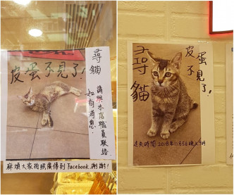 面包店为失猫张贴啓事。天下猫猫一样猫群组Ling Ling Lam‎ 图片