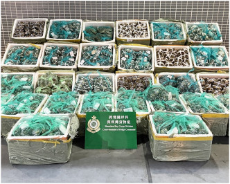 在深圳灣管制站檢獲的懷疑走私大閘蟹。