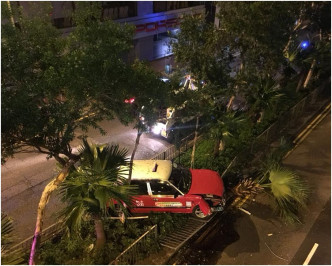 其中一輛的士失控剷上路中央的花槽撞冧兩棵葵樹。圖：網民Charissa Luk‎ 香港突發事故報料區