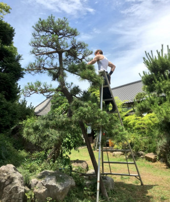 村雨辰刚在日本从事园艺师已经7年。twitter图片