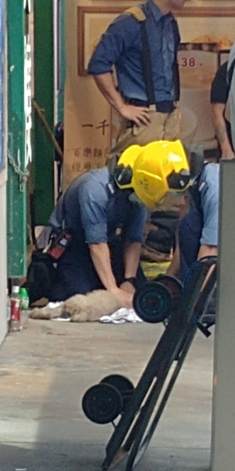 消防員當場為狗急救其後不治。