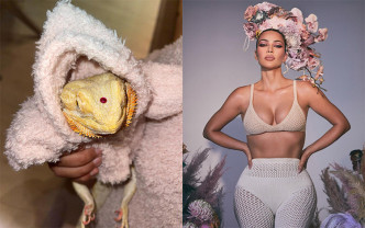 Kim Kardashia為寵物蜥蜴穿毛衣，更疑似在牠額頭鑲入鑽石，惹起網民不滿，指她虐待動物。