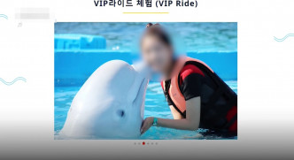 南韓樂園推出1日3次VIP「騎海豚」活動。 網圖
