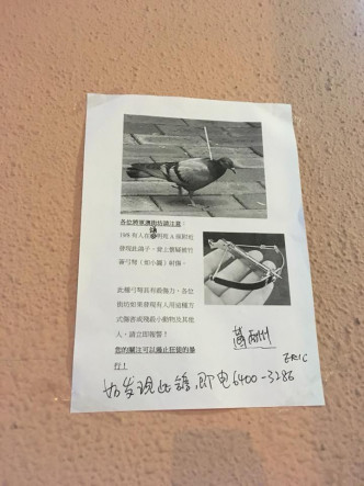 有市民呼吁居民,如发现有人用弓弩伤害雀鸟,应立即报警。网图