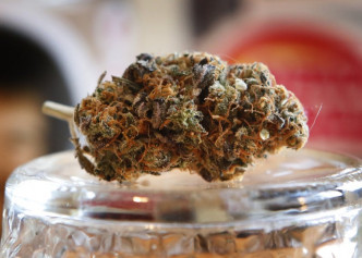 大麻花。AP资料图片