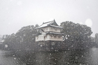 大雪下的東京。新華社