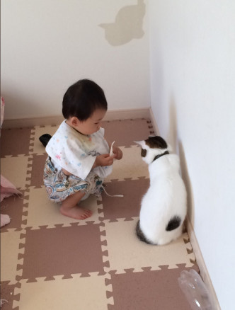 「大功告成」小主人與貓咪一起蹲在角落。@fukamitoneko twitter 　