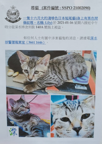 警方的寻猫传单。