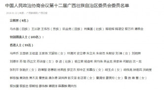 第十二届广西壮族自治区委员会委员名单的103名特别邀请人士名单当中，有55名港人。