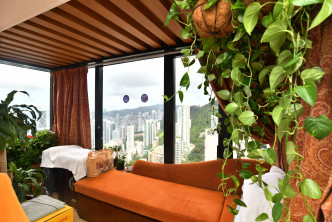 客廳靠窗位置闢作休閒區，選用木條子布置天花。