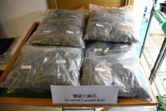 海關撿獲5公斤大麻花。