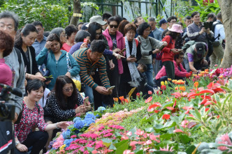 市民欣赏礼宾府内盛开灿烂的花卉。